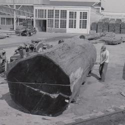 Log Sawing - 1950